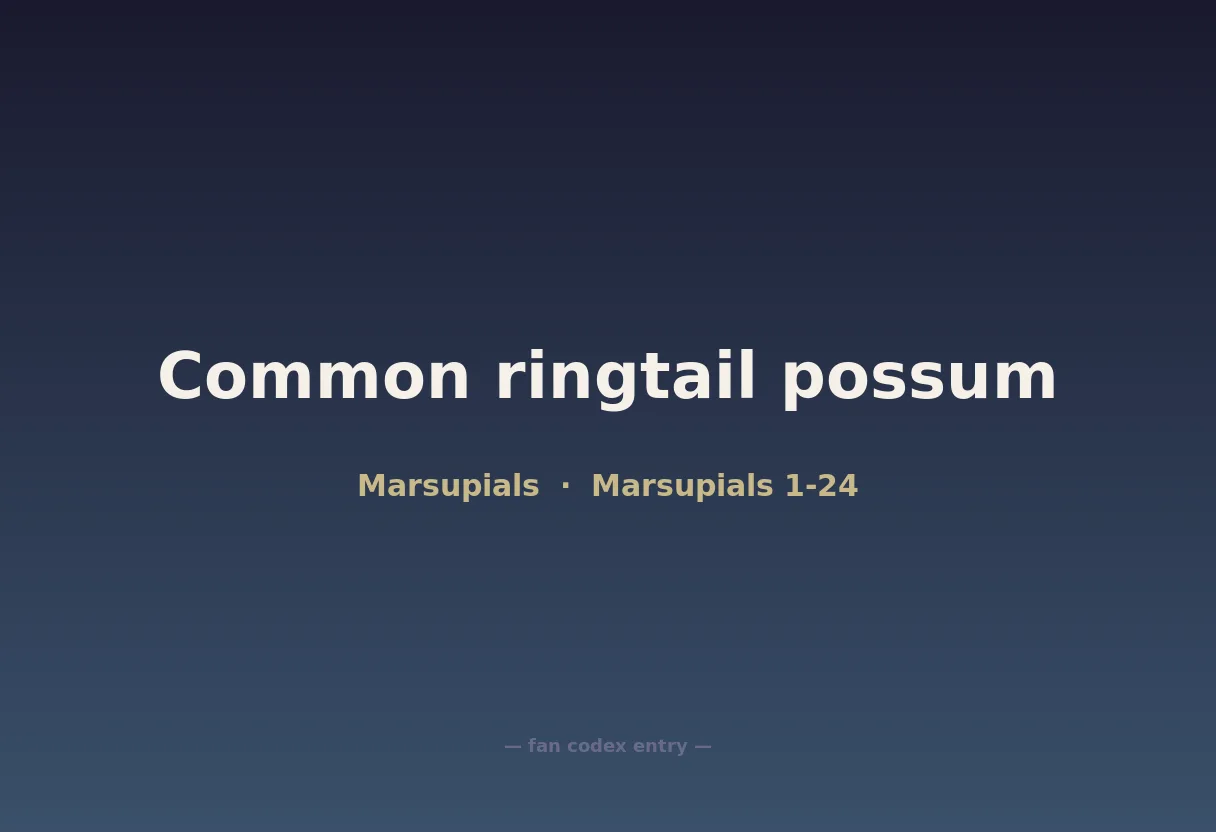 Common ringtail possum