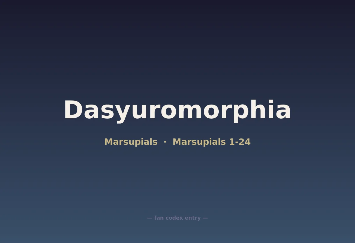 Dasyuromorphia