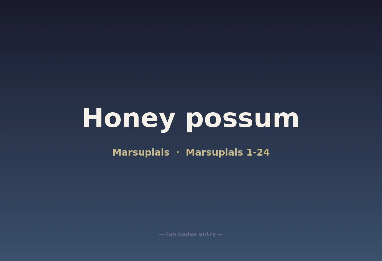 Honey possum