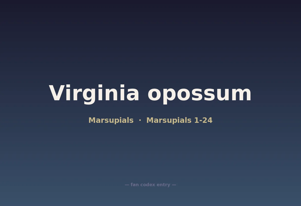 Virginia opossum