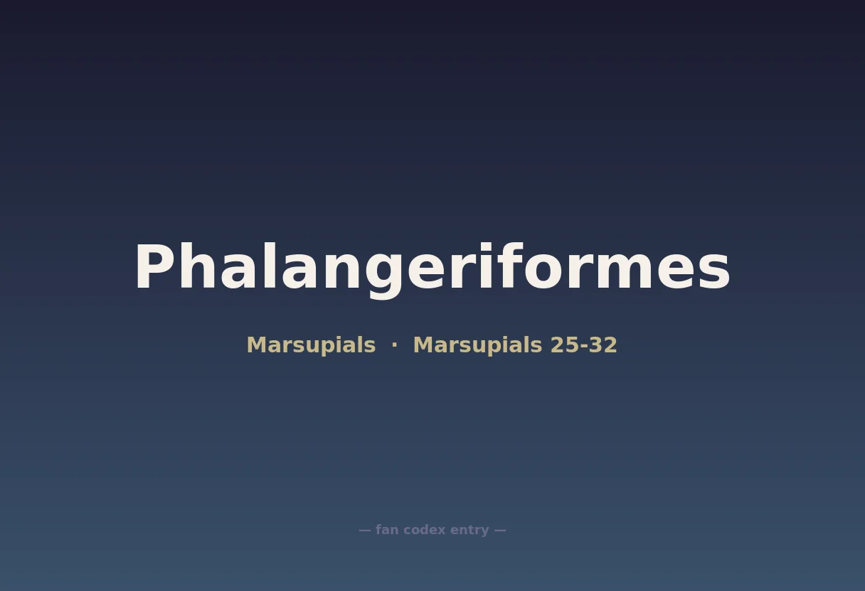 Phalangeriformes